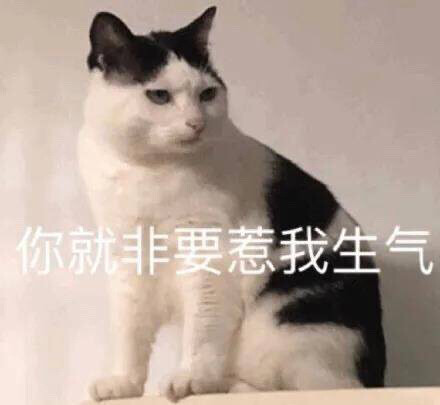  『可爱阿猫阿狗表情包』
图源网络 可补充至评论区
素质取图！！！