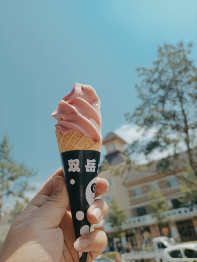 今年夏天的第一个冰淇淋，先干为敬