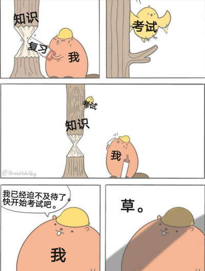 考试的时候最崩溃的莫过于，考前自信满满，考后成绩稀烂。