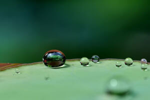 水珠