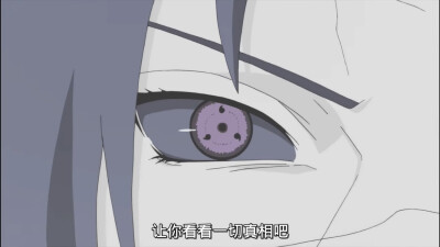 秽土鼬