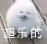 乐狗