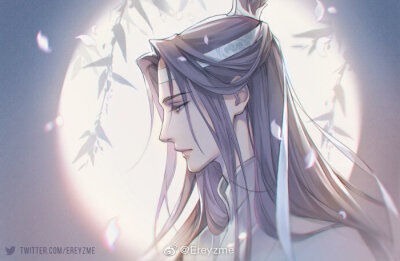 MDZS
