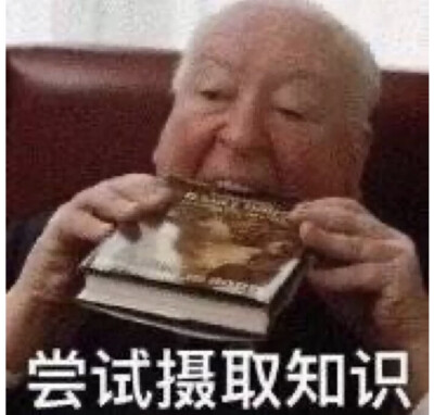 表情包合集