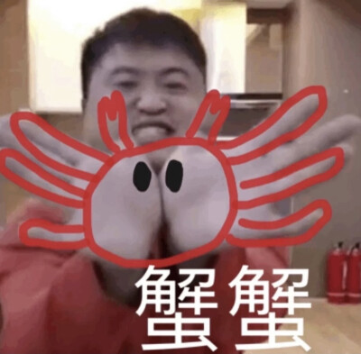 丽丽表情包