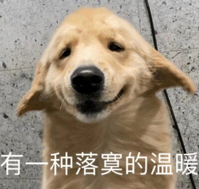 来啦