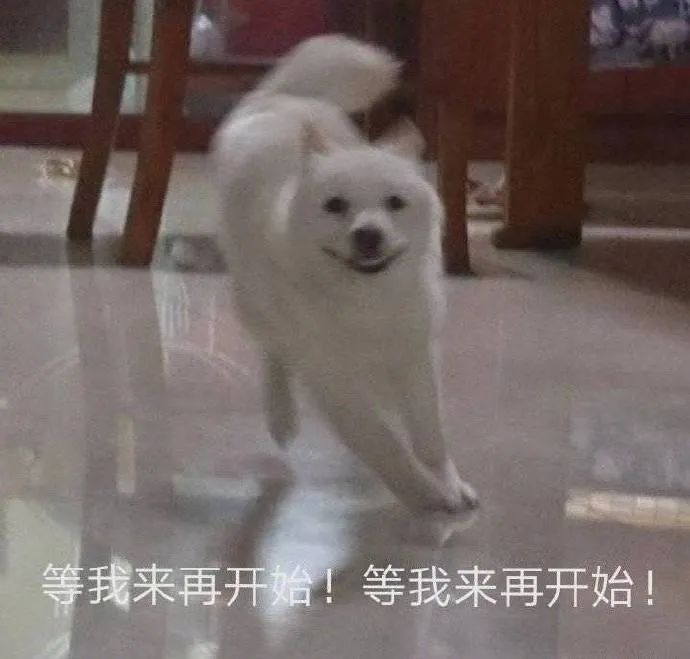 来啦