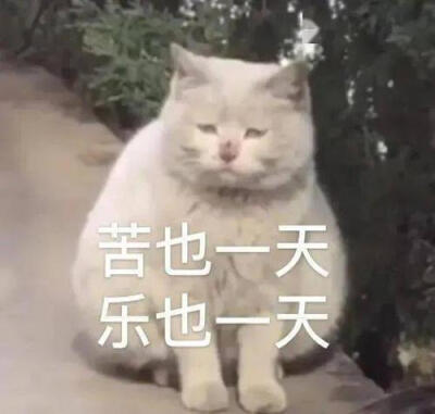 来啦