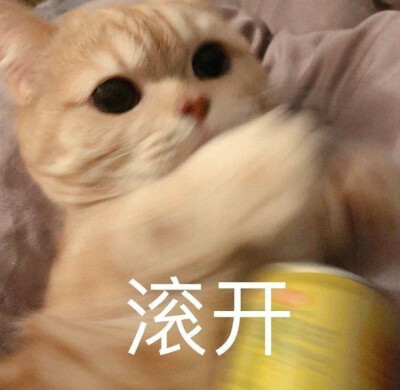 来啦