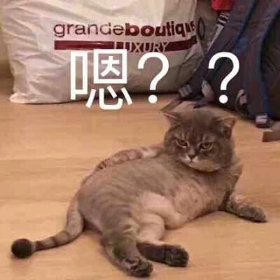 来啦