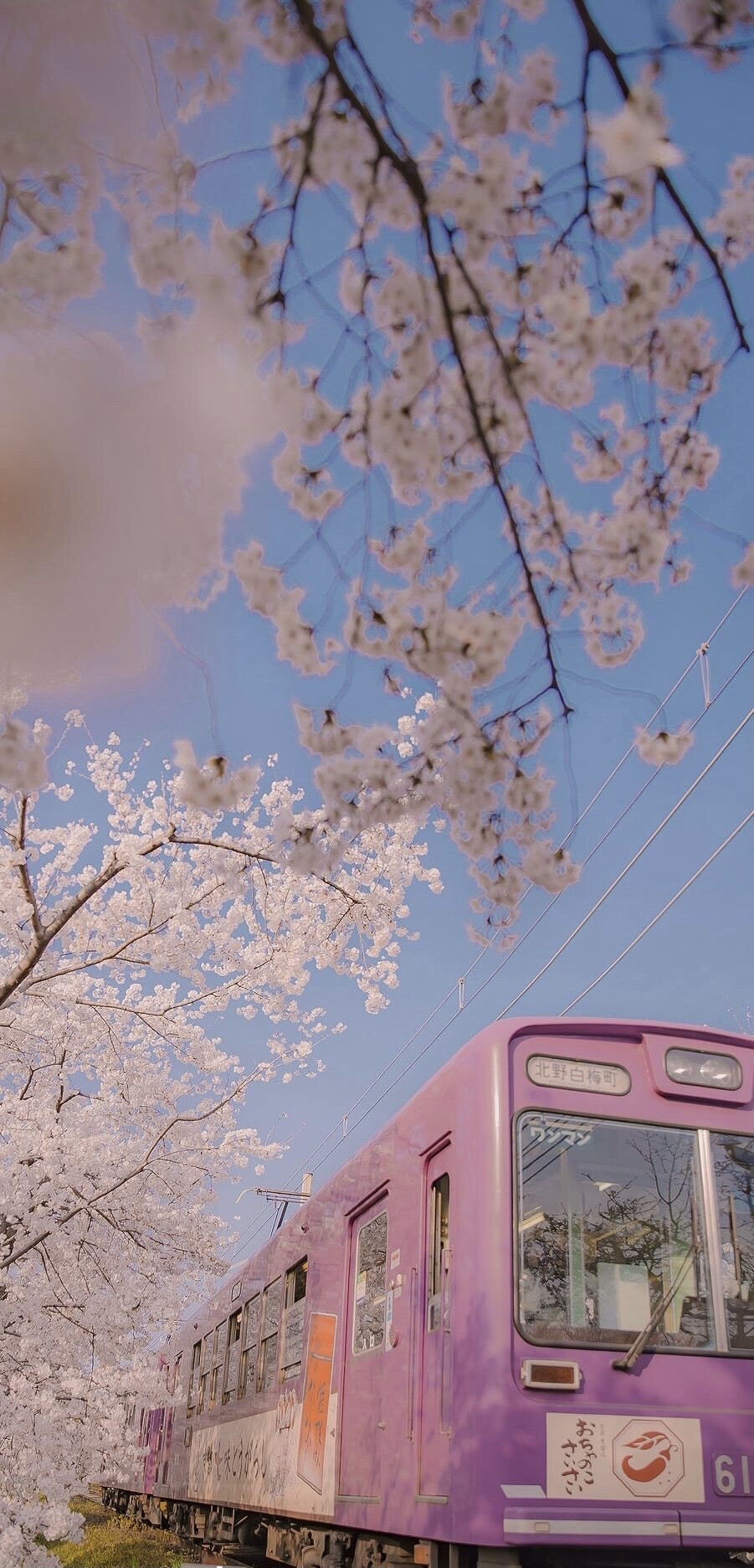 日式风景壁纸