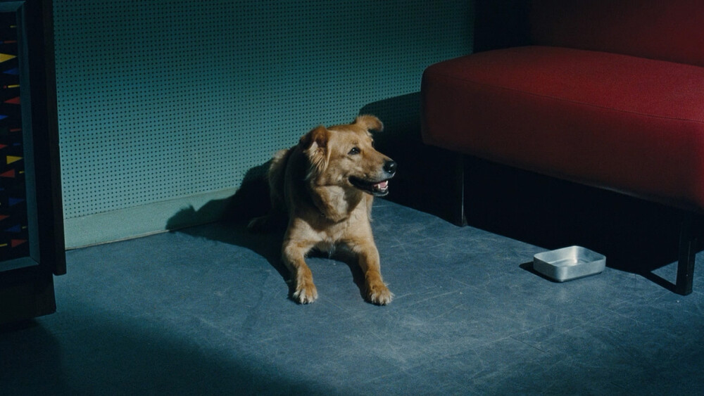 勒阿弗尔
——自调，图源byJeannles