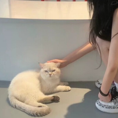 堆糖軌