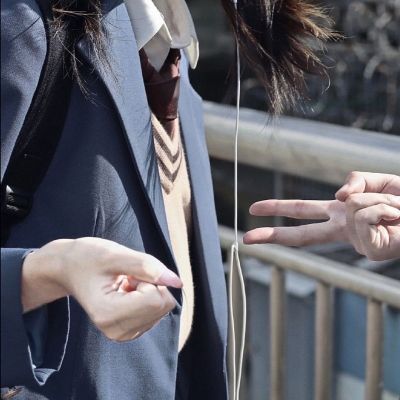 二传注明堆糖沈乔