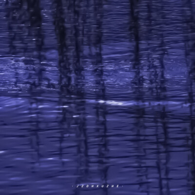 
" 有了大海的夏天才完整 "
