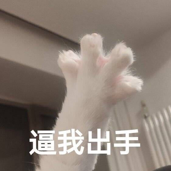 猫咪表情