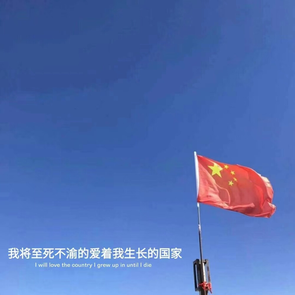 背景图