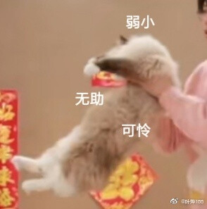 阴阳怪气表情包