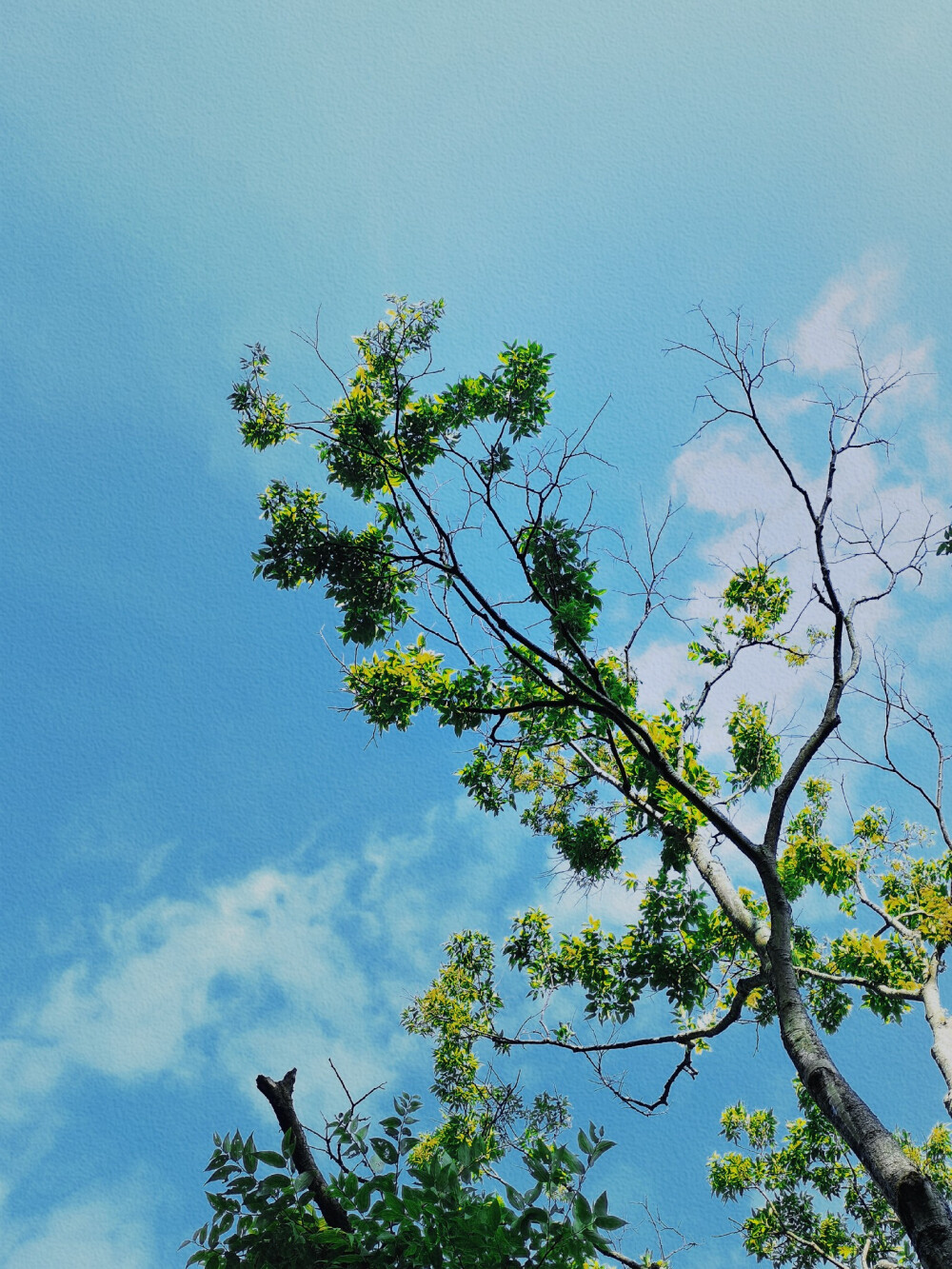 晴空