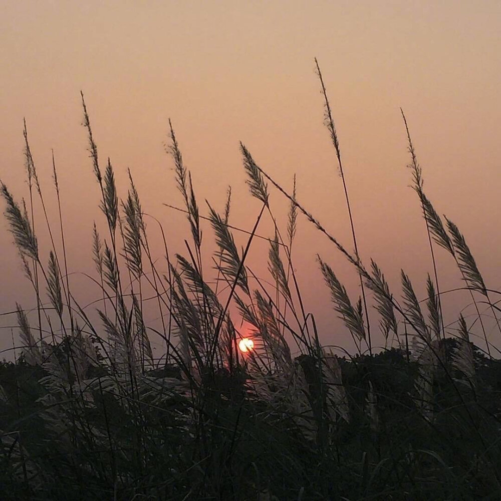 夕阳风景图