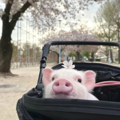 不要停止奔跑，不要回顾来路，值得期待的只有前方。每个女孩都是银河遗落在世间的星星，你一定也是某个人翘首以盼的惊喜。