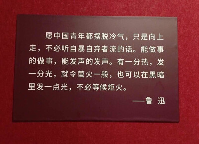 愿中国青年都摆脱冷气，只是向上走，不必听自暴自弃者流的话。能做事的做事，能发声的发声。有一分热，发一分光，就令萤火一般，也可以在黑暗里发一点光，不必等候炬火。