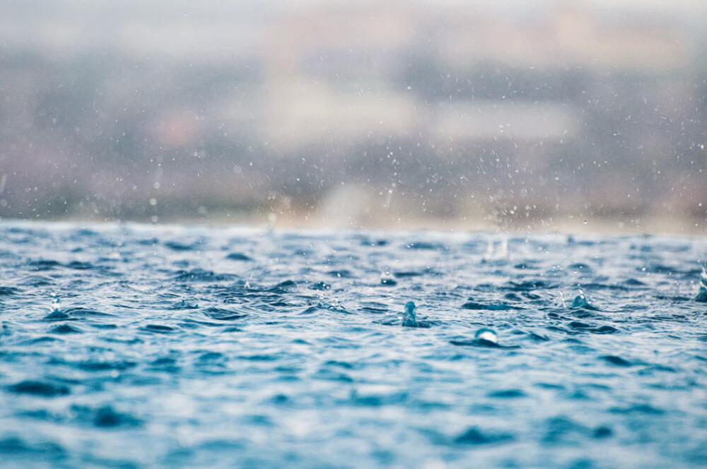 雨