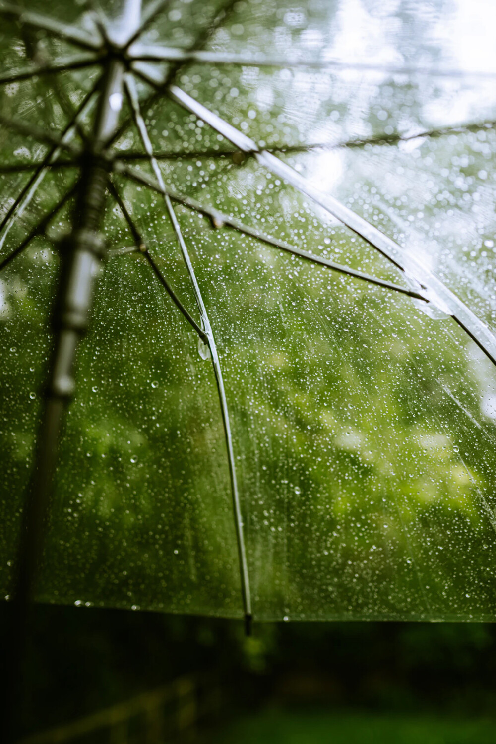 雨