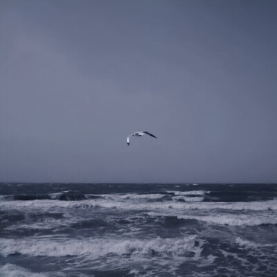 
“等風吹來我繼續愛你”
El viento vendrá después de todo//*裴珠泫
