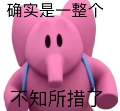 vb 追大鹅
表情