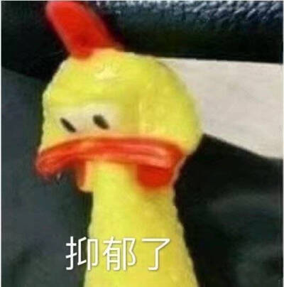 动物表情包