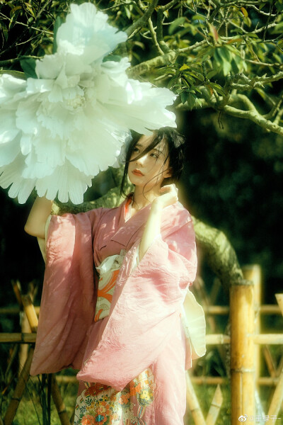 凉风花采溪
摄影@王绿子-
出境@一玟_