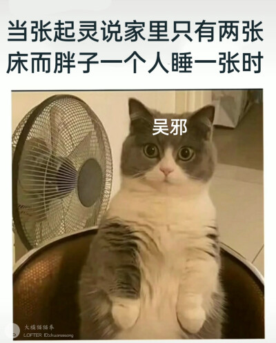 盗墓笔记
瓶邪