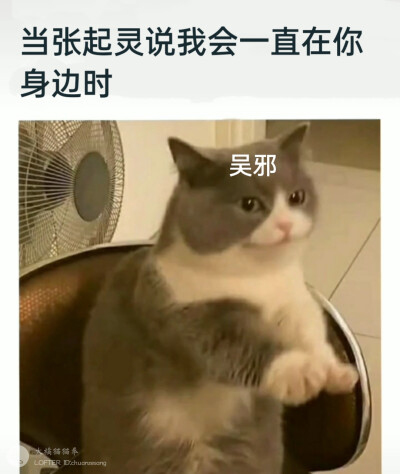 盗墓笔记
瓶邪