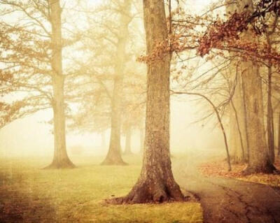 It's a fairy tale and a dream.
是 童 话 也 是 梦 境