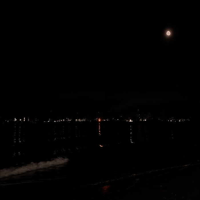  于是我们相爱手心湿的像海。