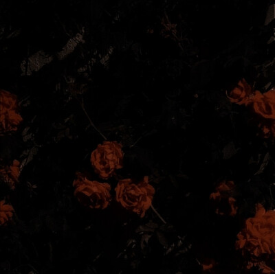  于是我们相爱手心湿的像海。