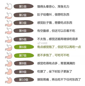 几分饱衡量表 