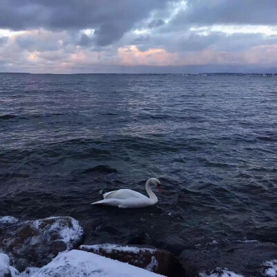 波涛汹涌/汹涌澎湃