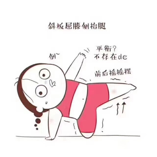 柔软的胖纸