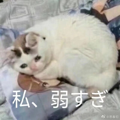 99太太炒口饭吃吧