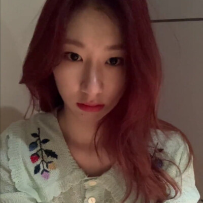 李彩领可二改 注明柳恩