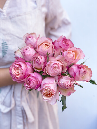 四年前我很执着地记住每一种玫瑰的名字，四年后我只让自己记得看见她们时我心里的样子。