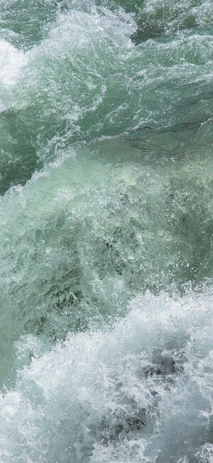 绿色系手机壁纸       图源网络侵权删