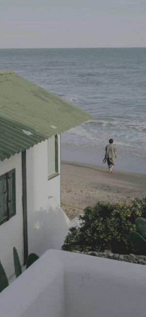 绿色系手机壁纸       图源网络侵权删