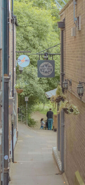 绿色系手机壁纸       图源网络侵权删