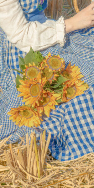 蓝色系手机壁纸         图源网络侵删删