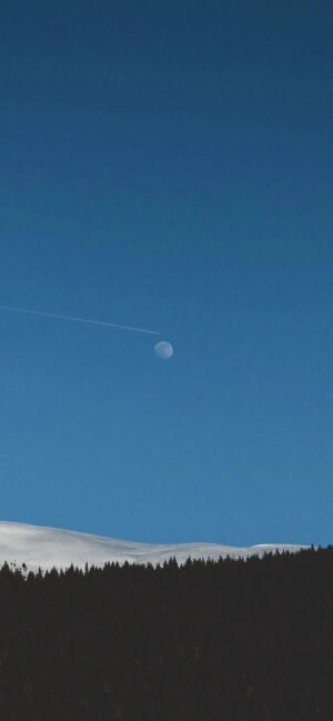 蓝色系手机壁纸         图源网络侵删删