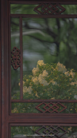 苏州园林       出处：小野弋沢    
侵权删