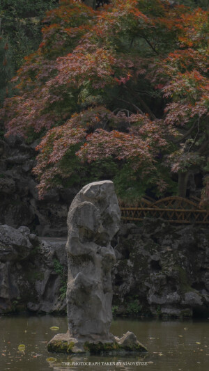 苏州园林       出处：小野弋沢    
侵权删